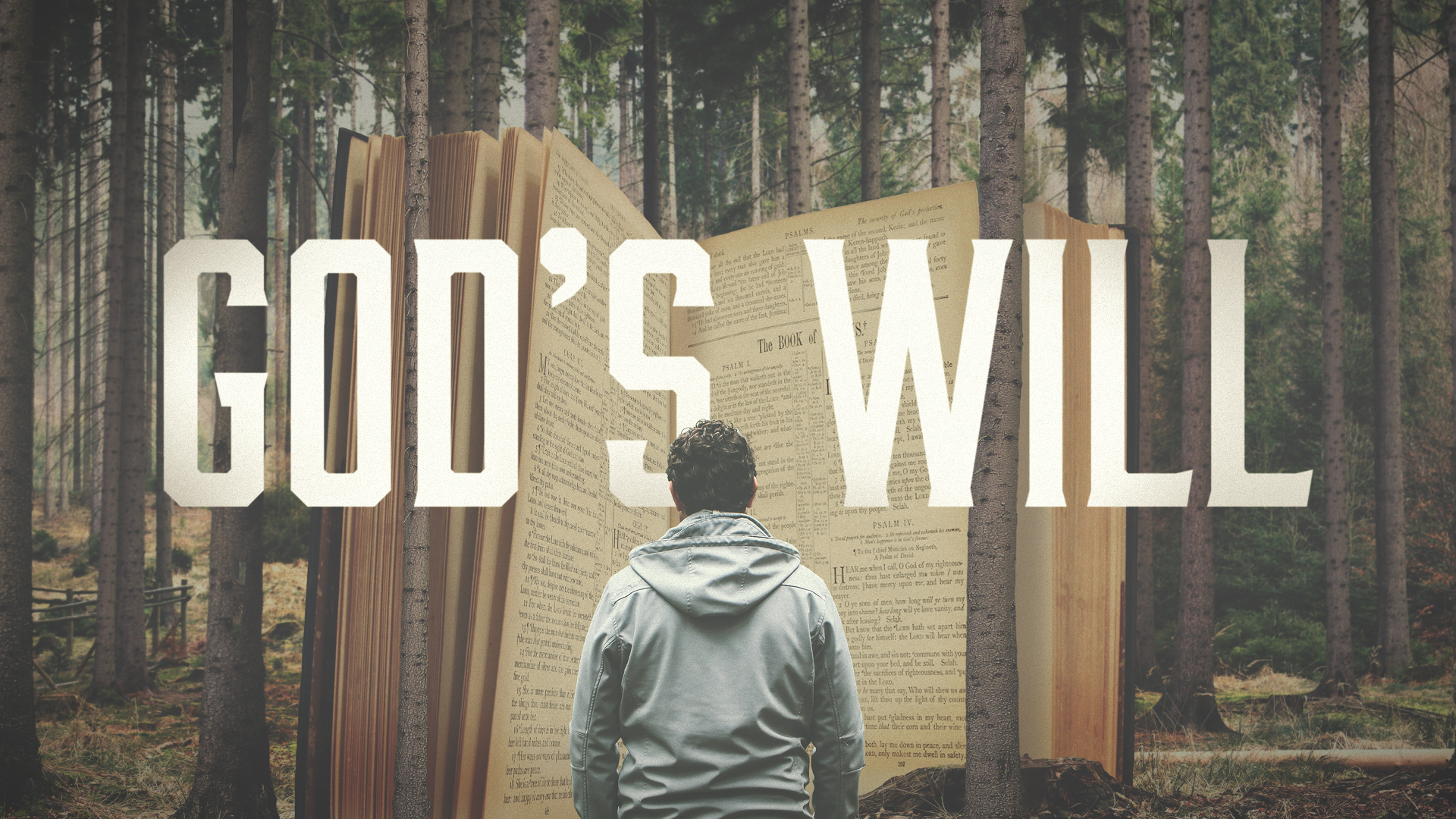 God's Will